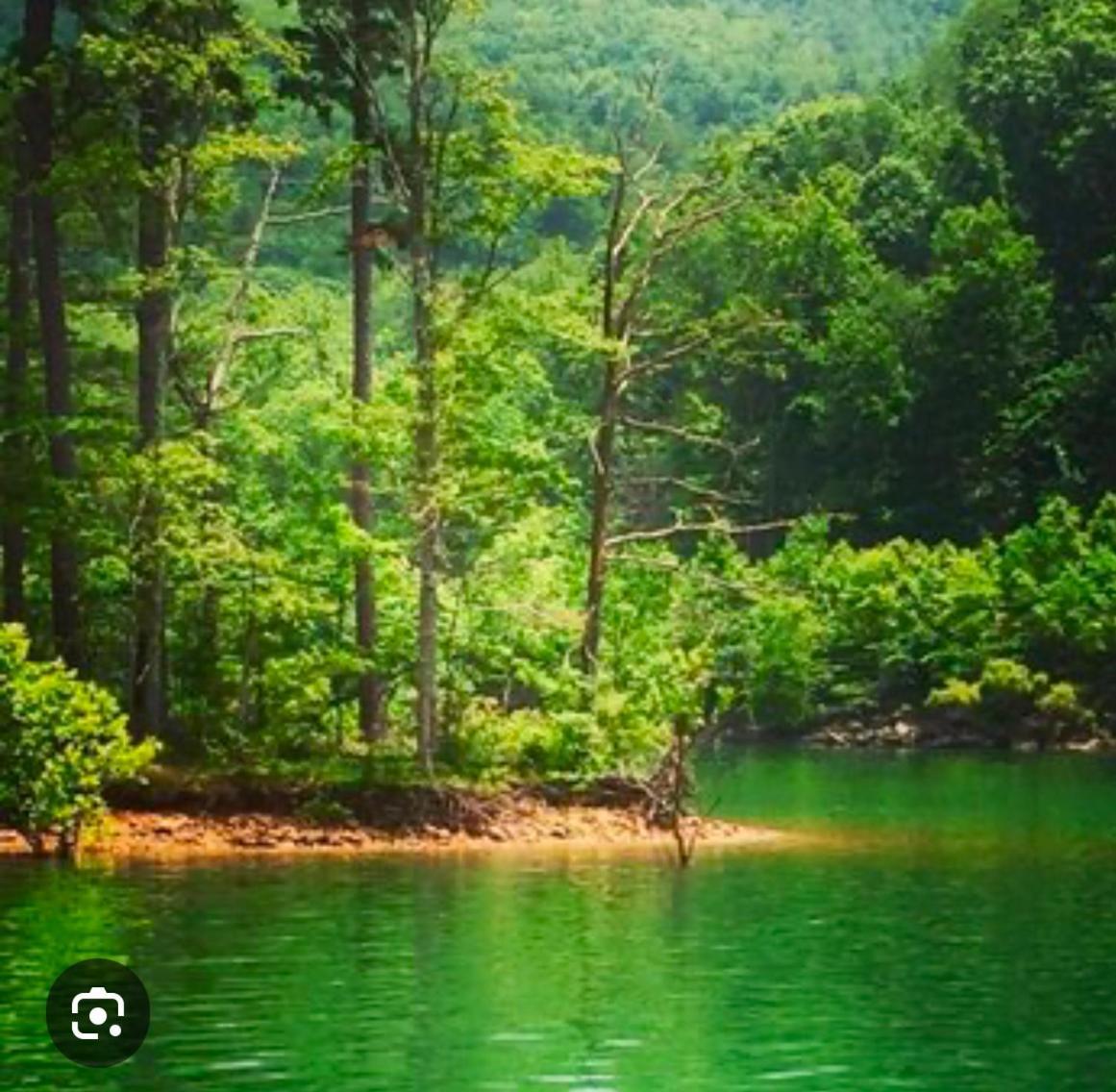 Monarch Mountain Cabins Cabin A Tennessee Thyme Elizabethton Luaran gambar