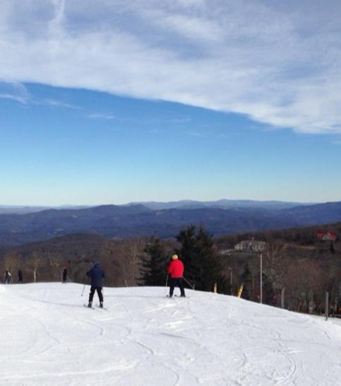 Monarch Mountain Cabins Cabin A Tennessee Thyme Elizabethton Luaran gambar